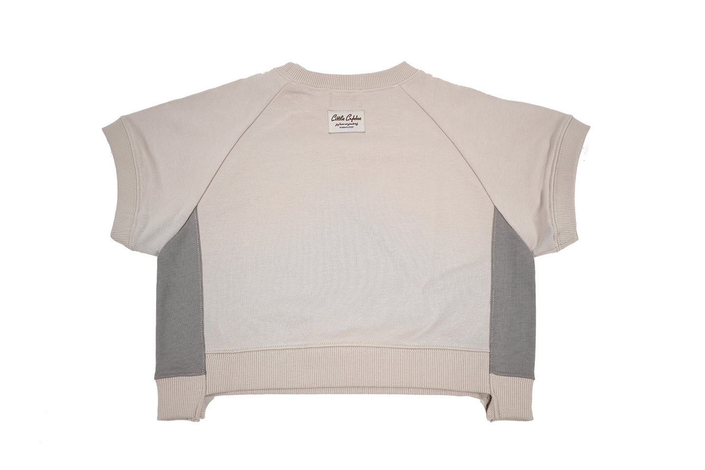 26SS-SW001/カラーST裏毛S/Sスウェット